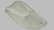 R.A.D MALLOW Forefoot Height Photo