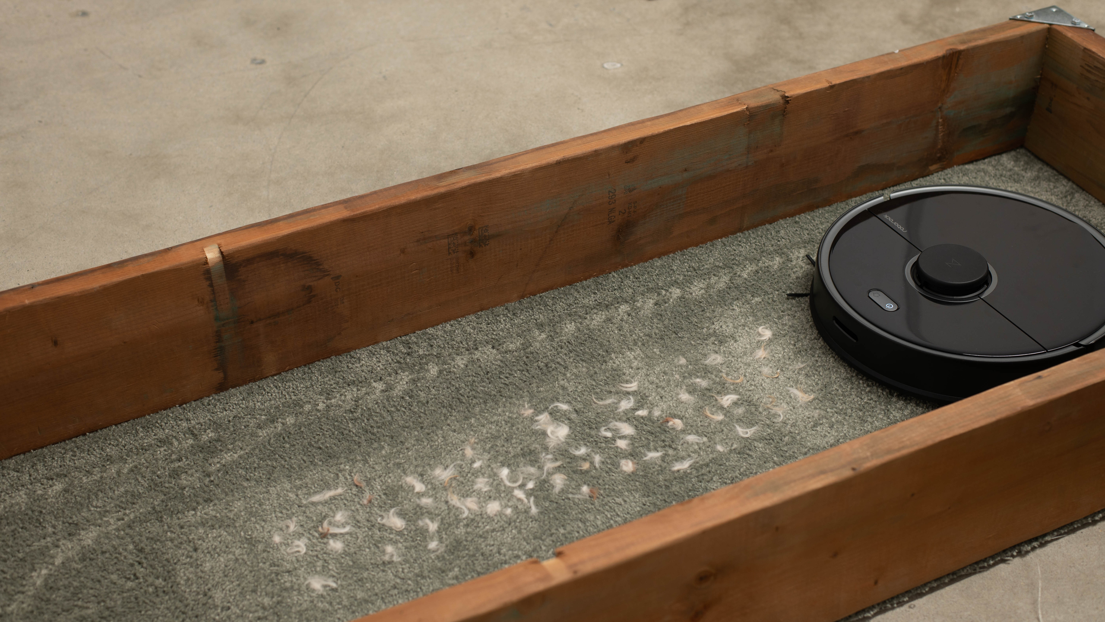 perceptual testing image