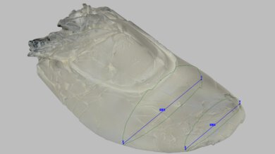 ANTA PG7 3 Forefoot Width Photo