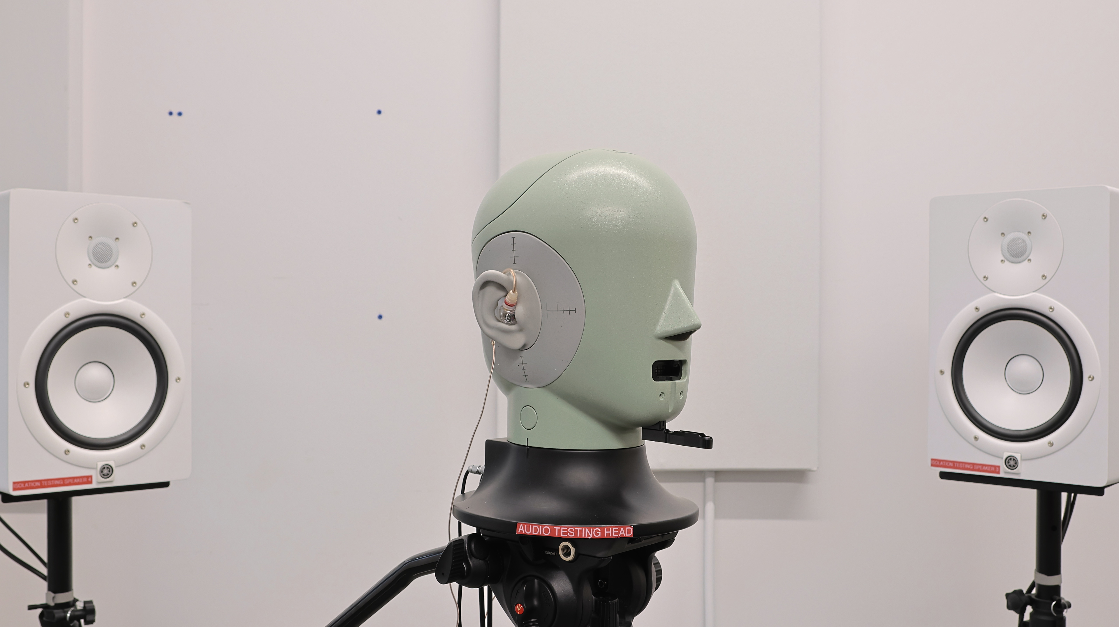 perceptual testing image