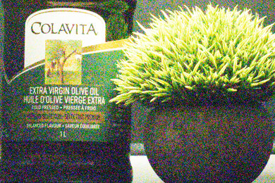 Canon EOS Rebel T7/2000D Noise Scene Crop