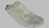 Mizuno Wave Prophecy 15 Forefoot Width Photo
