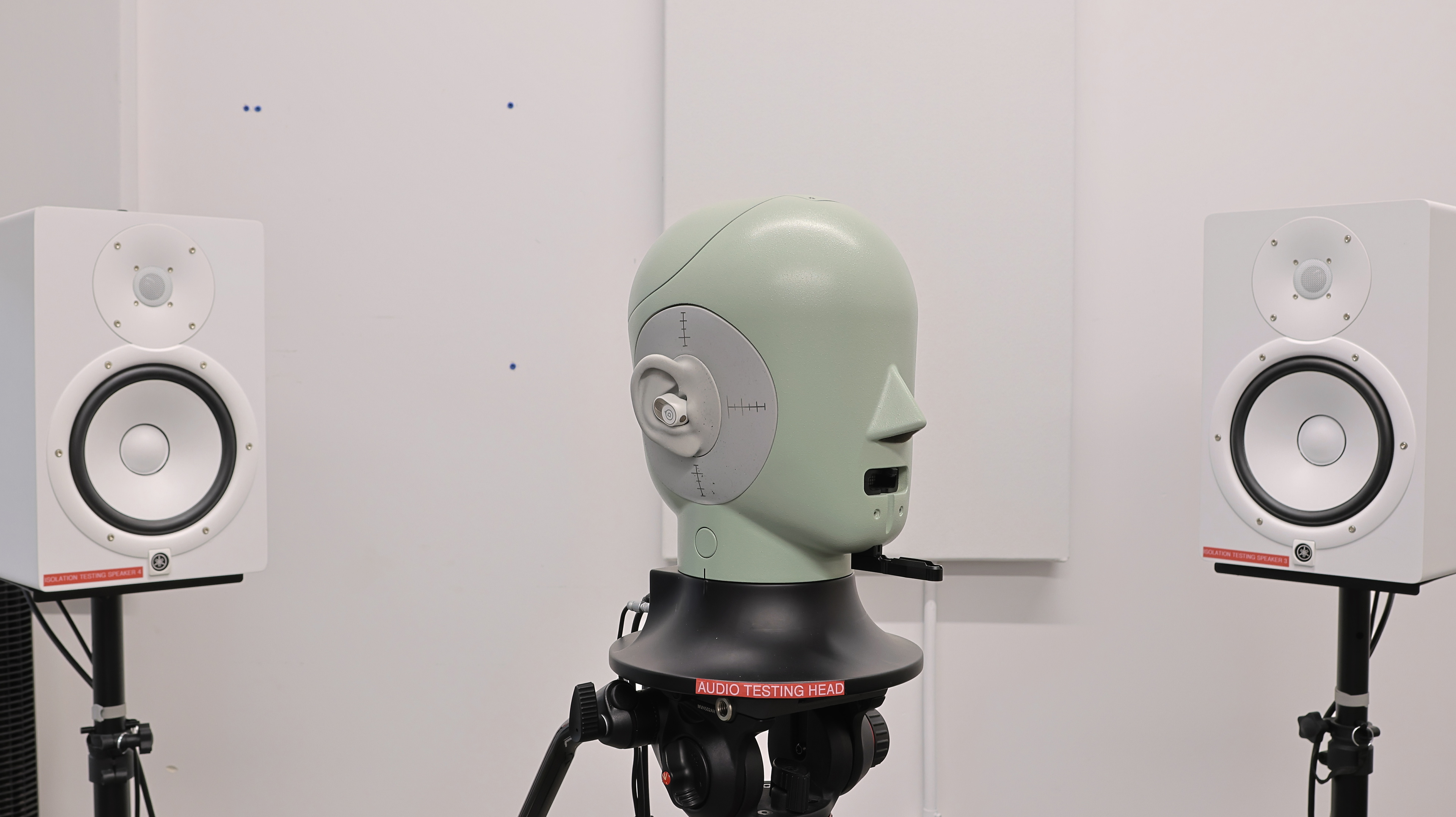 perceptual testing image