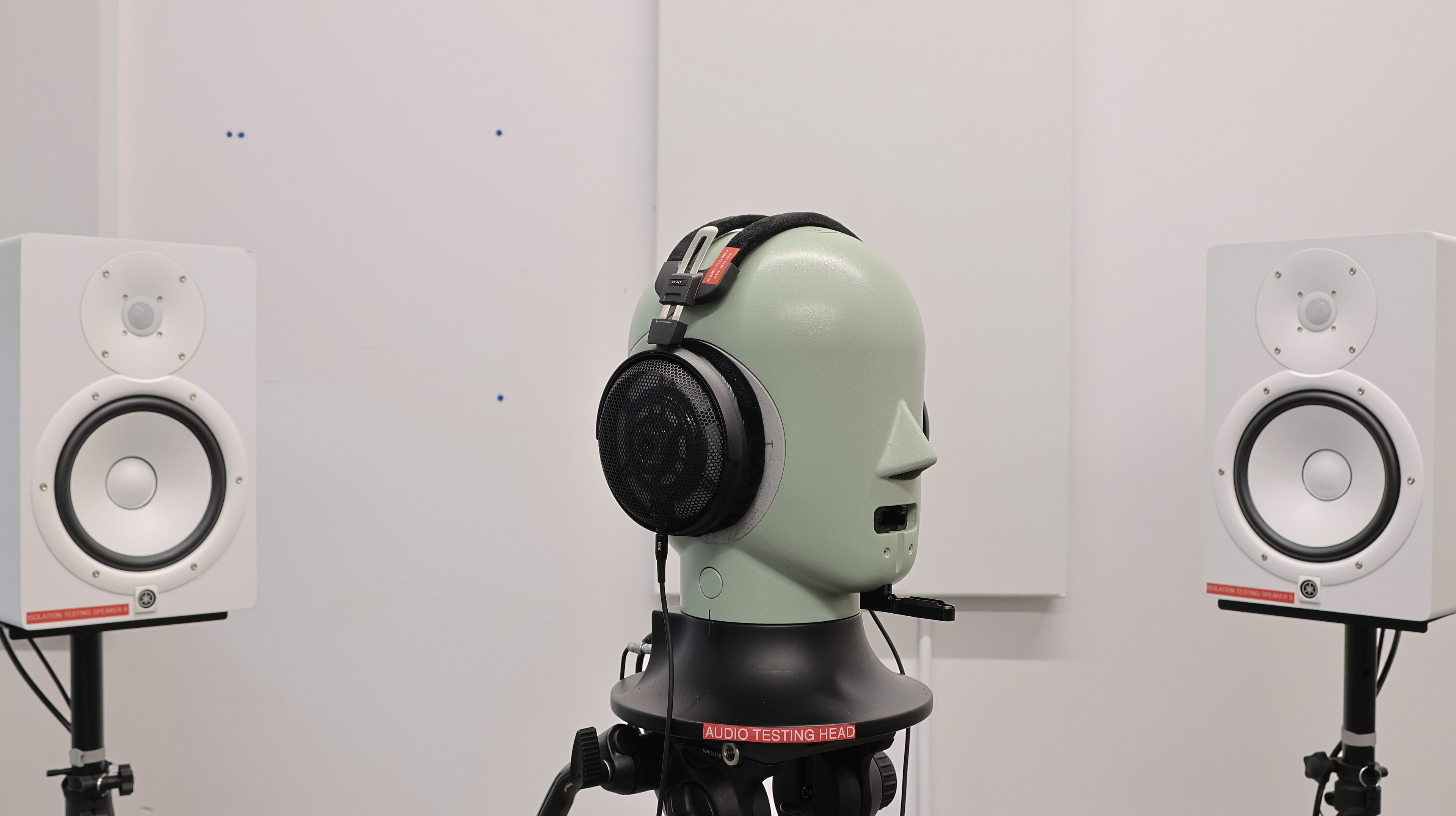 perceptual testing image