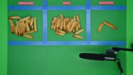 Our Place Wonder Oven (Toaster Oven) Sorted Fries