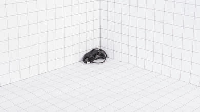 JBL E25BT Wireless Portability Picture