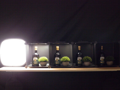 Canon EOS R Dynamic Range Scene