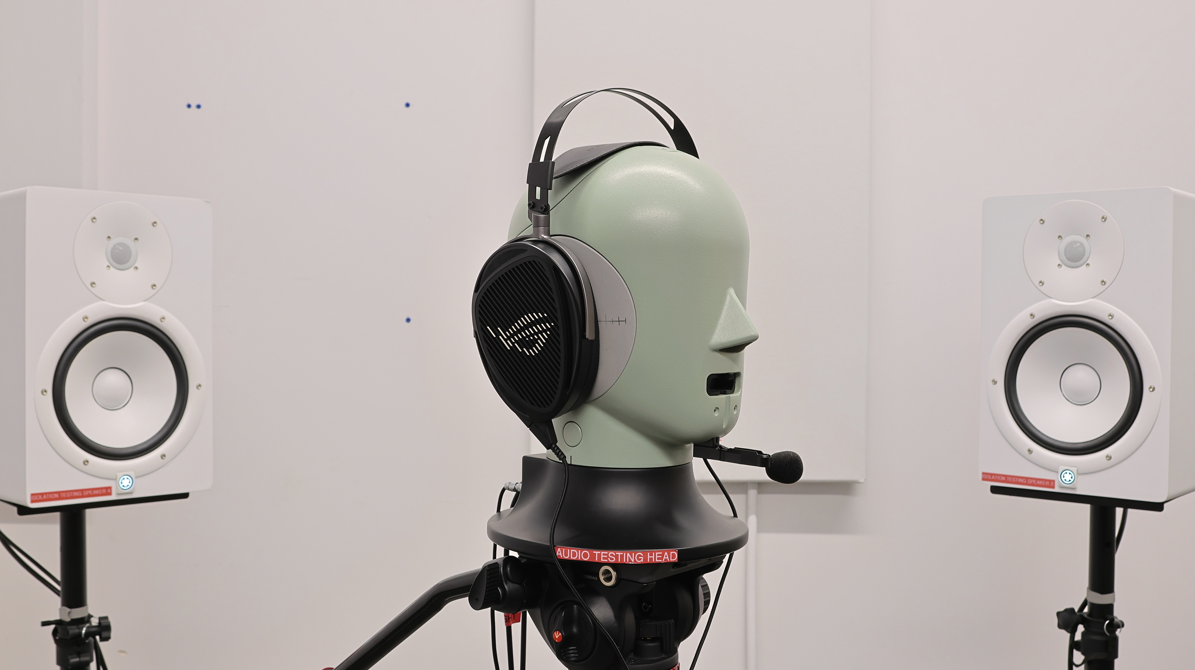 perceptual testing image