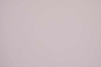 Panasonic LUMIX ZS99 Light Falloff Picture