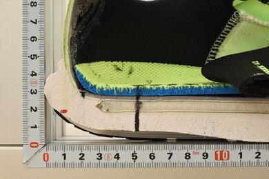 Nike Pegasus 42 Heel Rocker Photo