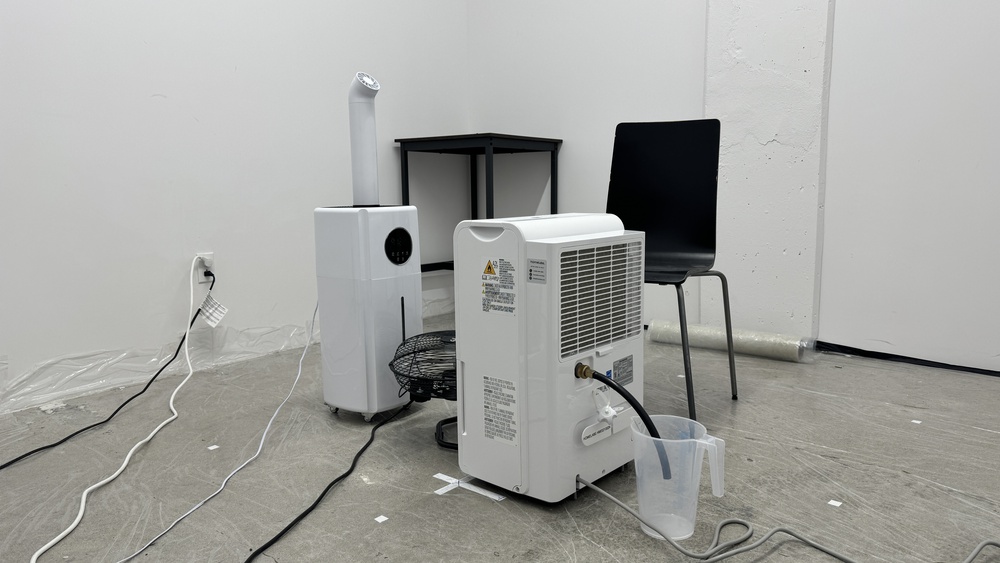 perceptual testing image