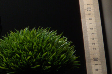 Nikon COOLPIX A1000 Sharpness Scene Crop