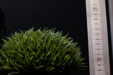 Fujifilm X-E4 Sharpness Scene Crop