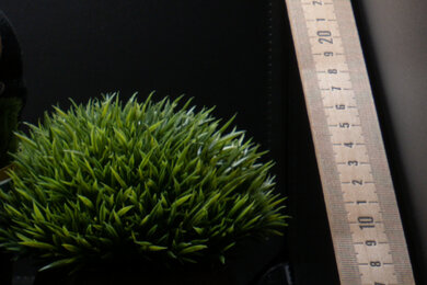 Panasonic LUMIX FZ1000 II Sharpness Scene Crop