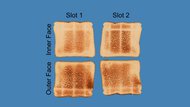 Toastmaster Two Slice TM-42TS Toasting Evenness Photo