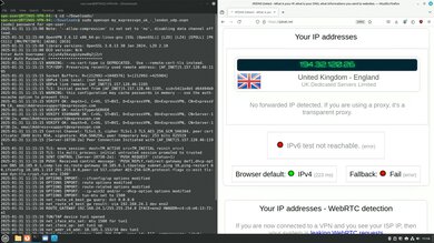 ExpressVPN Headless OpenVPN Connection Screenshot