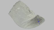 New Balance FuelCell Rebel v4 Forefoot Height Photo