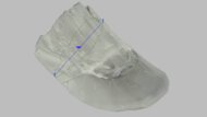 On Cloudrunner 3 Arch Fit Photo