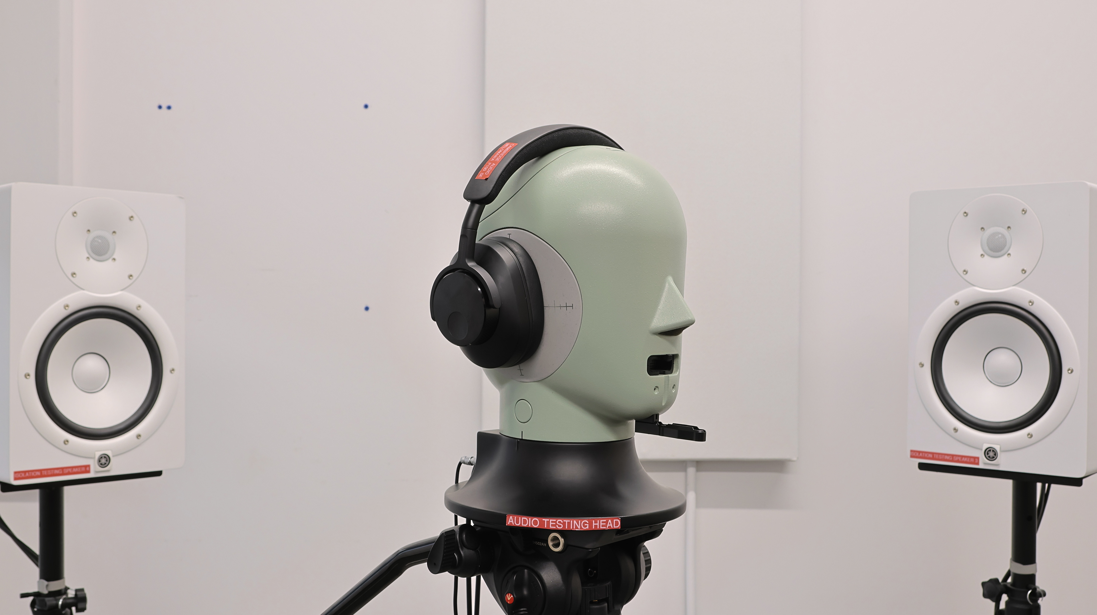 perceptual testing image