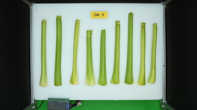 LG LRFS28XBS Produce Picture (After)
