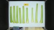 LG LF24Z6530S Produce Picture (Before)