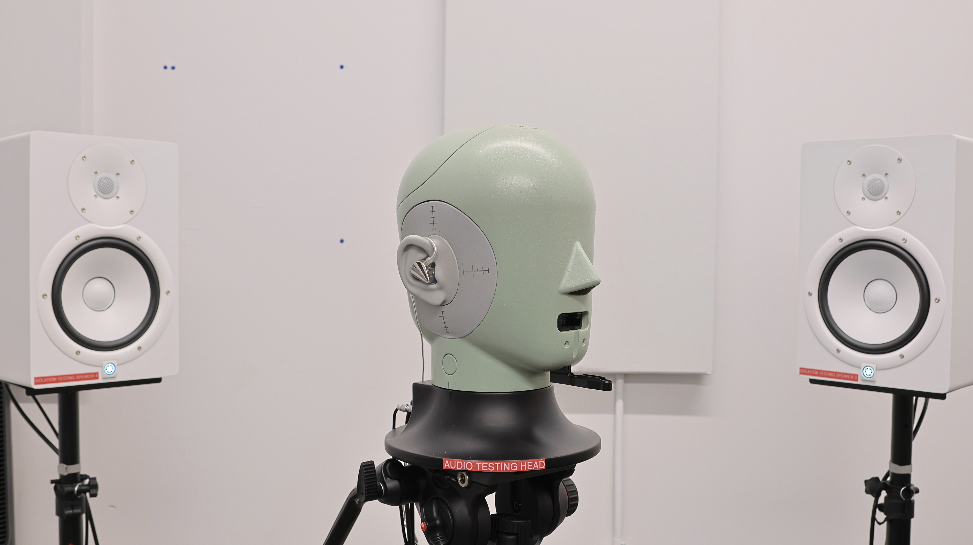 perceptual testing image