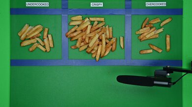 Ninja DoubleStack SL201 Sorted Fries Sample