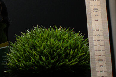 Sony α7C II Sharpness Scene Crop Sample