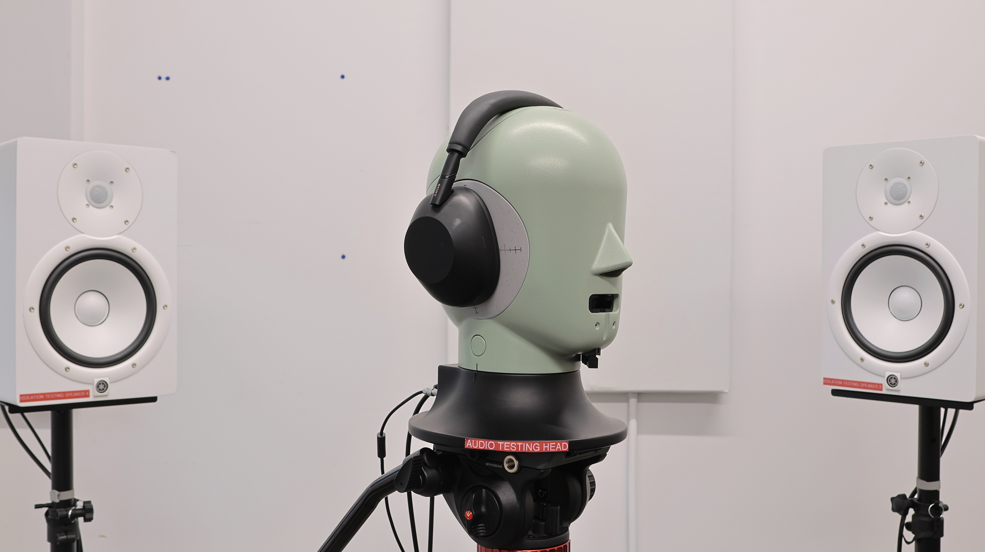 perceptual testing image