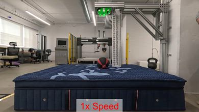 Puffy Royal Bounciness Video Sample