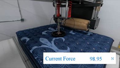 Puffy Royal Firmness Video Sample