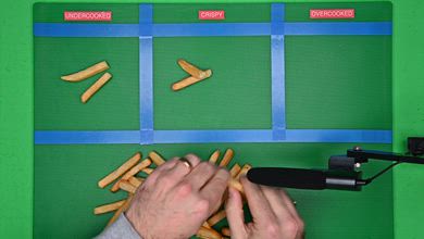 Typhur Sync Oven Fry Sorting Video Sample