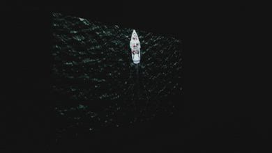 Sony A9S OLED LD Video, Real Content Side View Sample