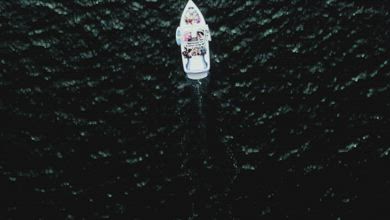 Sony A9S OLED LD Video, Real Content Sample