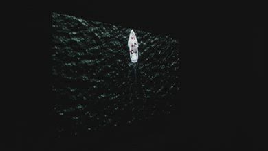 Sony A9S OLED LD Video, Real Content Side View Sample