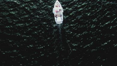 Sony A9S OLED LD Video, Real Content Sample