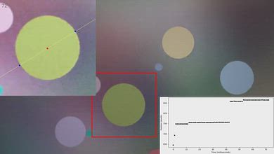 LG G5 OLED Stutter Reduction Via Interpolation Video Sample
