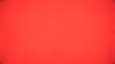 20/7 Burn-In Test: OLED vs LCD VA vs LCD IPS