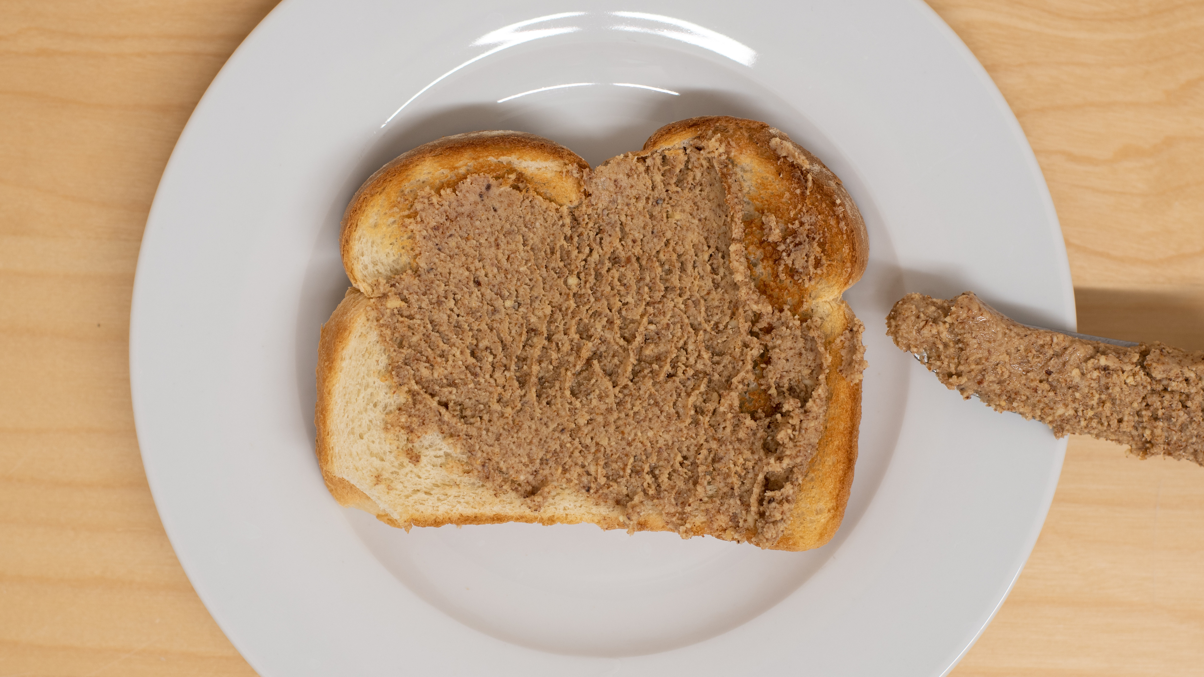 Ninja Nutri Ninja Pro Review