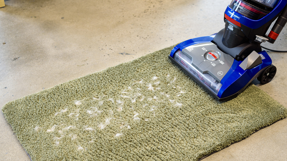 Hoover WindTunnel 2 Whole House Rewind Review